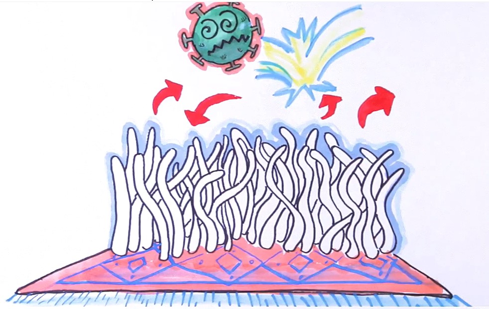 Física chilena descubre cómo bacterias se organizan para alimentarse y limpiar la colonia